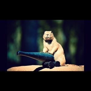 Meet your Posher, Ellie